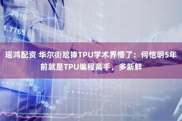 瑶鸿配资 华尔街尬捧TPU学术界懵了：何恺明5年前就是TPU编程高手，多新鲜